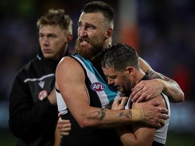 Port to examine AFL scars from Bulldogs