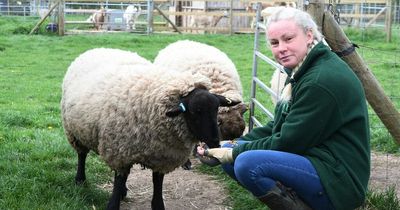 Heartbreak as Nottinghamshire therapy farm left with 'nowhere to go'