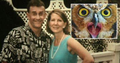 The Staircase: Lawyers say it was an aggressive owl and not husband that murdered woman