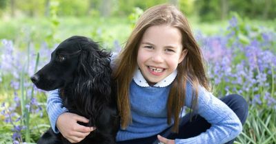 Beautiful pictures of Princess Charlotte released on her seventh birthday