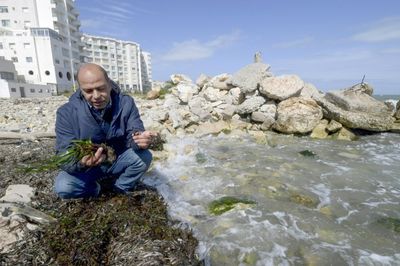 'Lungs of the Mediterranean' at risk