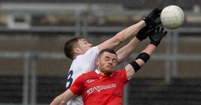 Mickey Harte says Louth 'didn't deserve that battering' as Kildare march into Leinster semis