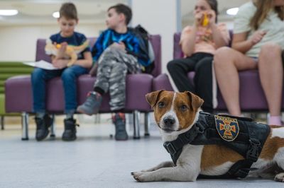 VIDEO: Pup-Lifting: Hero Bomb-Sniffing Dog Visits Childrens Hospital