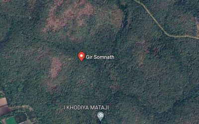 Two tremors hit Gujarat’s Gir Somnath, locals run out of homes; no casualty