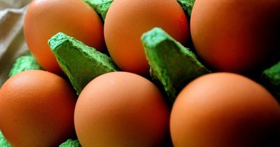 Free range eggs set to return to shelves in Liverpool