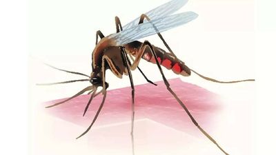 184 malaria cases reported in Kasganj