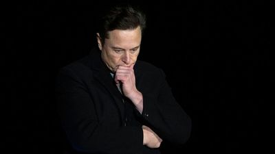 College students don't want Elon Musk running Twitter