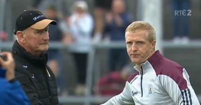 RTE pundit Shane Dowling 'disappointed' by Brian Cody's frosty handshake with Henry Shefflin