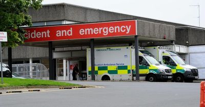 Alcoholic gathered spit in his mouth and asked cops "do you want this"