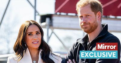 Meghan Markle must step up after Netflix chop as royal ties won't save her, says expert