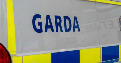 Man, 40s, dead after single vehicle crash in Meath as gardai shut road