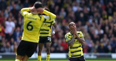 Watford relegation autopsy - including next manager requirements and club legend status
