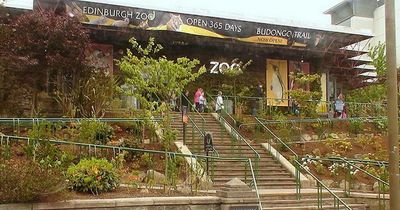 Edinburgh Zoo hits back on TripAdvisor after tourist creeped out by 'staff in dark glasses'