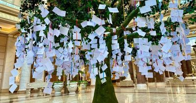 Shoppers encouraged to open up about their mental health at a positivity tree in the Trafford Centre
