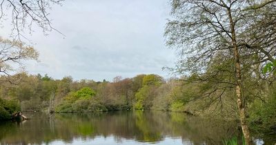 I spent 5 minutes in 5 places at my favourite Northumberland beauty spot - here's how it went