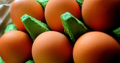 Free range eggs back in supermarkets in a 'few days' as bird flu measures are dropped