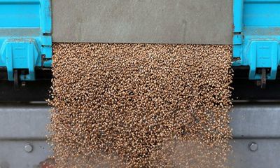 Millions of tonnes of grain stuck in Ukraine, says German UN official