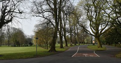 Boozed up gang of teens in suits attack boy walking through Ayrshire park