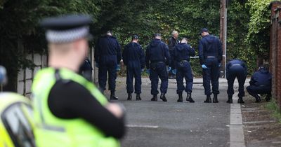 'An almighty fire...and boom' - Neighbours' shock as device goes off in alleyway behind garden