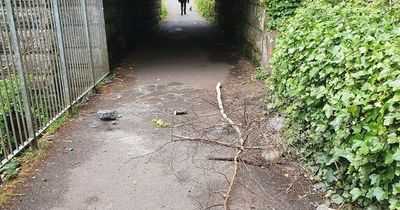 Reckless yobs ‘drop concrete block’ on head of Scots scooter rider during footpath ‘ambush’