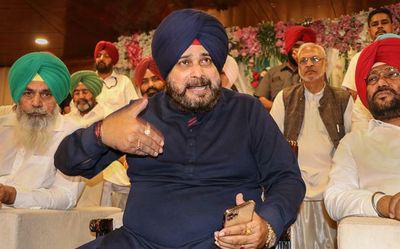 Punjab Congress in-charge accuses Sidhu of indiscipline