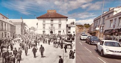 The amazing horse fairs that once took place in a very different looking Llanelli