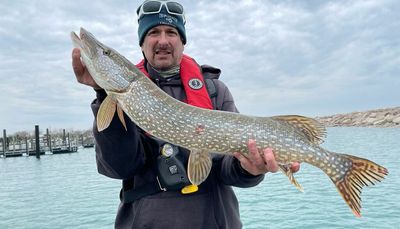 Catching bigger northern pike: A progression to Fish of the Week
