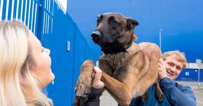 Everton dog 'icon' Myra accidentally became relegation saviour on lunchtime walk