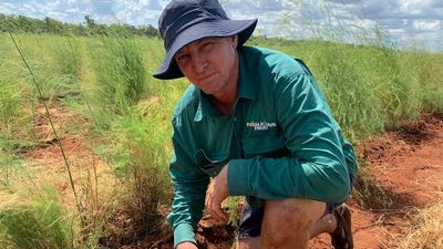 Katherine voters say action on housing, labour shortages needed from Lingiari candidates