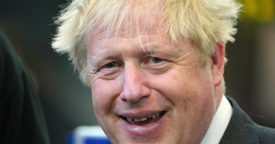 'Bulldozing hopes and abandoning families is hallmark of regime of Tory chancers'