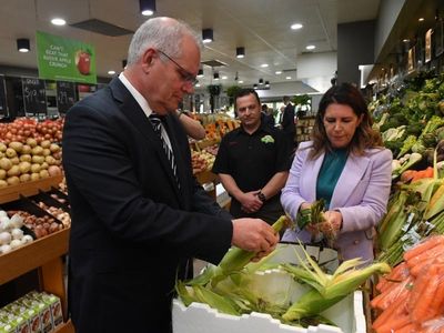 PM denies he's embarrassed on climate