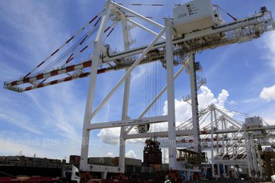 Exports seen up at least 5% this year: shippers