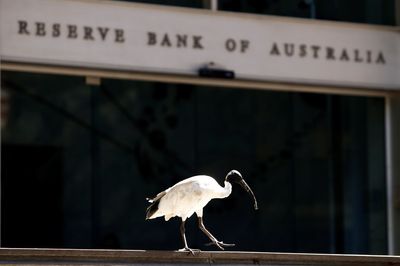 Australia hikes interest rates in potential election shakeup