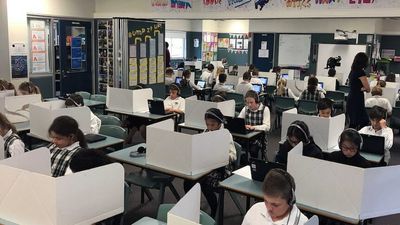 NAPLAN test moves exclusively online but critics still want national program scrapped