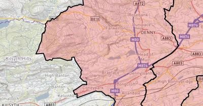 Falkirk Council elections 2022: More change ahead for Denny and Banknock