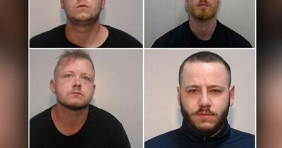 Gang jailed after £40k package of MDMA disguised as cat food seized at border