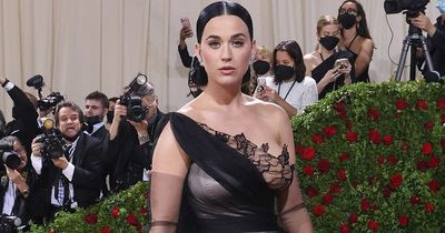 Katy Perry couldn't use toilet at Met Gala because she was pinned into elaborate dress