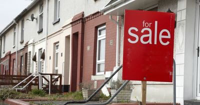 What is Boris Johnson's right to buy scheme and whether it could help you buy a house