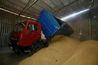 Ukraine faces grain harvest storage crunch as exports struggle