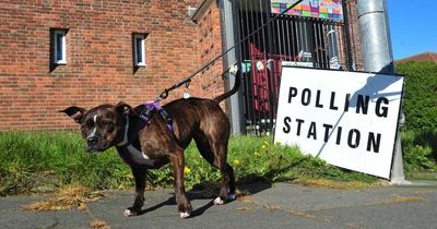 Local elections 2022: Where is my polling station for the council elections in Wales