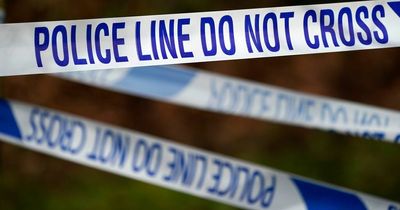 Cops in Lanarkshire launch investigation after HGV deliberately torched