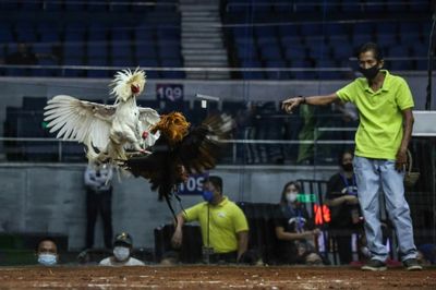 Philippines' Duterte vows to ban online cockfighting