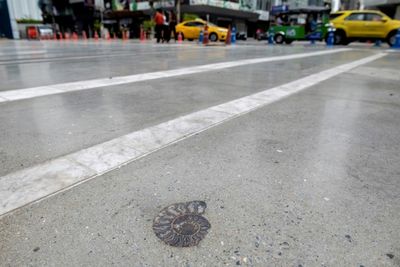 Fossils dating back 66 million years found outside Bangkok mall