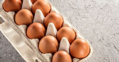 Free-range eggs to return to shelves after first UK human bird flu case