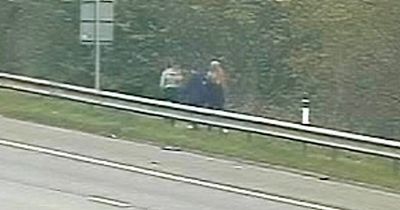 Teenagers given 'stern words of wisdom' after trying to film TikTok video next to motorway