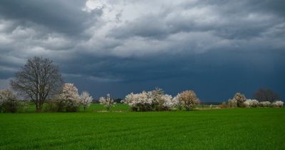 Met Eireann hot weather alert after sun vanishes and cloud engulfs Ireland in fast-changing forecast