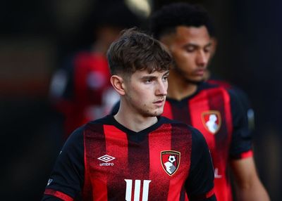 Bournemouth star David Brooks reveals he is cancer free and clear to continue career