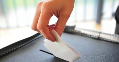 Voting process for council election