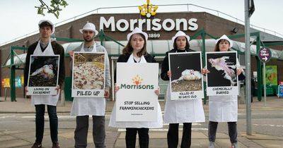 Animal welfare campaigners dressed in butcher outfits target Morrisons in Chorlton over 'Frankenchickens'