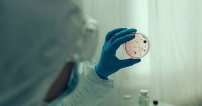 Russia plans bio-terror Cholera attack that may start epidemic, claims Ukraine
